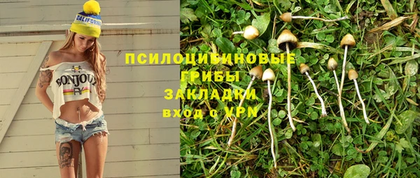 гашиш Бородино